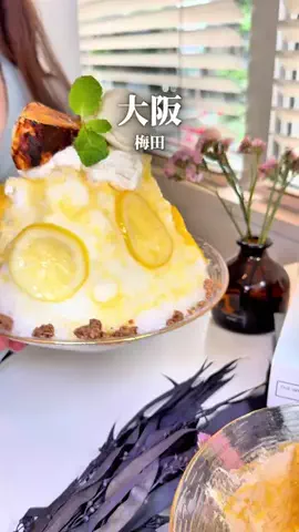 まえすけ｜大阪カフェ・大阪グルメ・関西おでかけデートのTikTok投稿