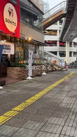 のぞみ|茨城発観光地案内・茨城グルメのTikTok投稿