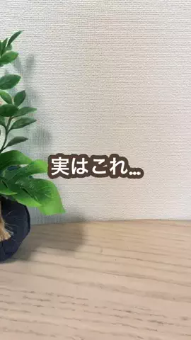 こあら博士| iPhone活用術🐨のTikTok投稿