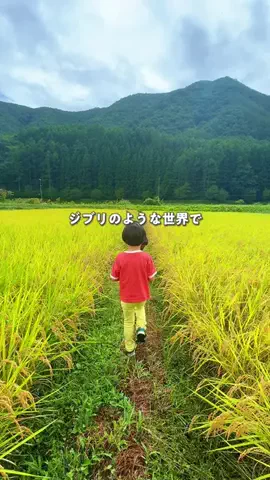 ameco_travelのTikTok投稿