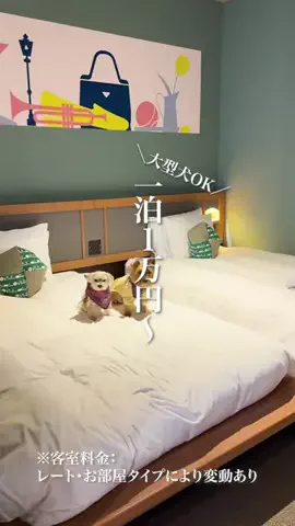 wannavi_mediaのTikTok投稿