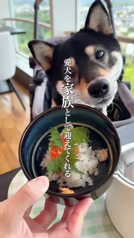 wannavi_mediaのTikTok投稿