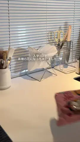 Ria❤︎のTikTok投稿