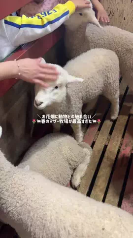 つき🌕旅行記のTikTok投稿