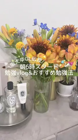 ずんのTikTok投稿