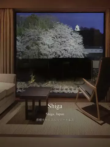 ヴィラ男のTikTok投稿