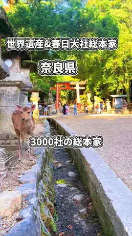 たく561011のTikTok投稿