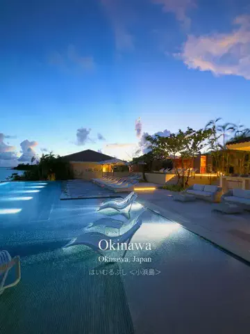 よしたかのTikTok投稿