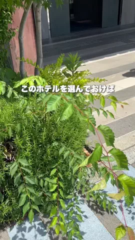 なお｜ホテル選び、少しラクにのTikTok投稿