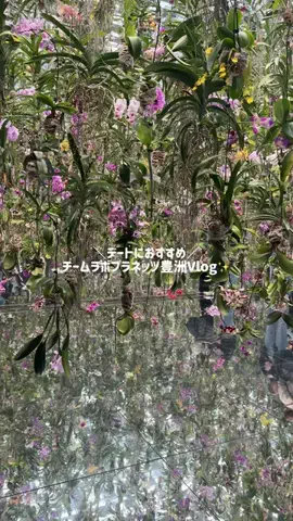 つき🌕旅行記のTikTok投稿