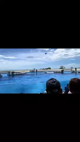 su_mliのTikTok投稿