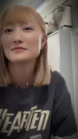 ひかる🎀山田さんちは猫まみれのTikTok投稿