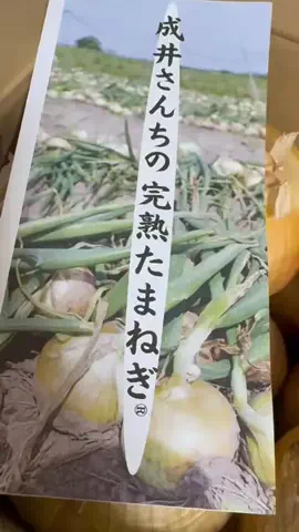 みや🌱🐣のTikTok投稿