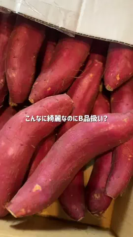しおり⌇ピラティスのTikTok投稿
