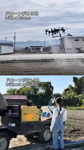 農家の孫まっちのTikTok投稿