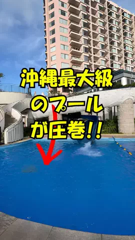 おっきー 🍍沖縄人のTikTok投稿