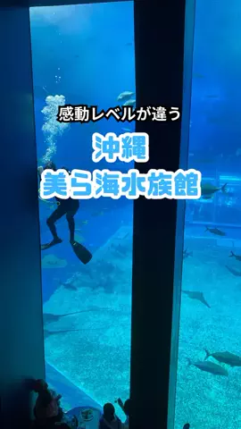 おっきー 🍍沖縄人のTikTok投稿