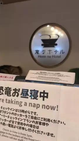 のぶ(スーパー旅行系クリエイター)のTikTok投稿