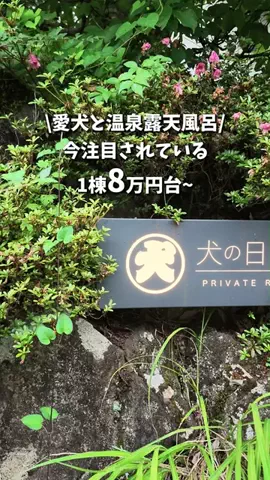 キンベル|格安旅行案内人のTikTok投稿