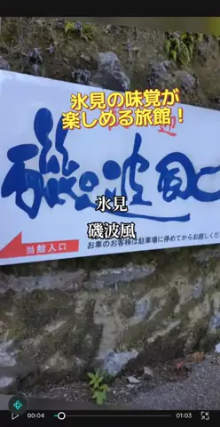 のぶ(スーパー旅行系クリエイター)のTikTok投稿
