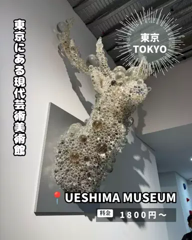 キンベル|格安旅行案内人のTikTok投稿