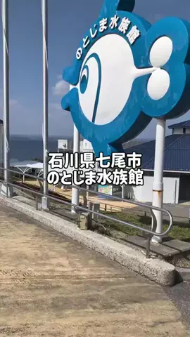 のぶ(スーパー旅行系クリエイター)のTikTok投稿