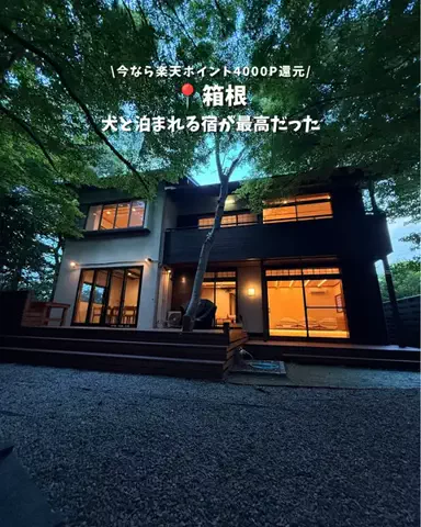 キンベル|格安旅行案内人のTikTok投稿