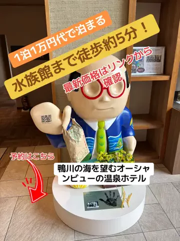 めしけしきのTikTok投稿