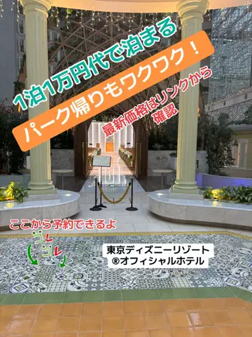 めしけしきのTikTok投稿