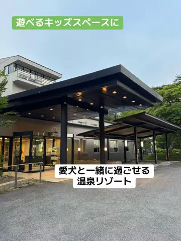 めしけしきのTikTok投稿
