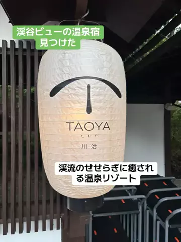 めしけしきのTikTok投稿