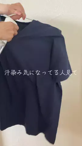 こりんぼすけの休暇のTikTok投稿