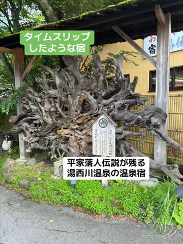 めしけしきのTikTok投稿