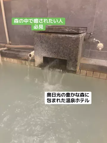 めしけしきのTikTok投稿