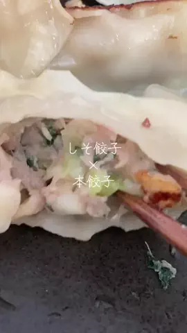 こりんぼすけの休暇のTikTok投稿