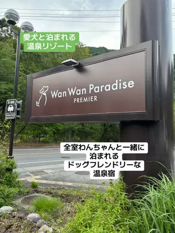めしけしきのTikTok投稿
