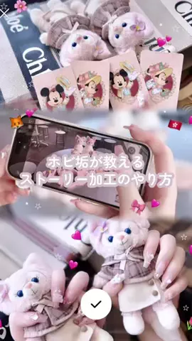 ちょろねこさんのTikTok投稿