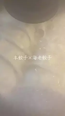 こりんぼすけの休暇のTikTok投稿