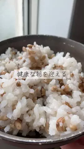 こりんぼすけの休暇のTikTok投稿