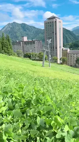 ぐりぐらママ@子連れ旅行で一度は行きたいスポット巡りのTikTok投稿