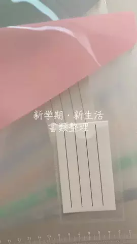 こりんぼすけの休暇のTikTok投稿