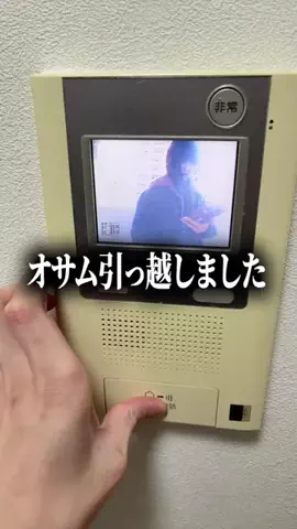 🍏マブエナ🍎のTikTok投稿