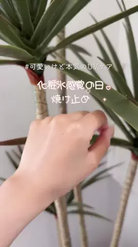 あちゃんのTikTok投稿