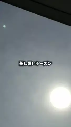 あゆミンのTikTok投稿