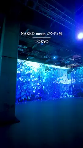 Shogo📷｜カメラとおでかけのTikTok投稿