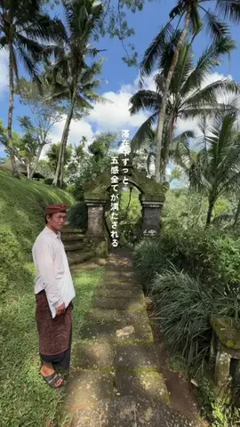 Hitomi@旅行WEBライター✈️のTikTok投稿