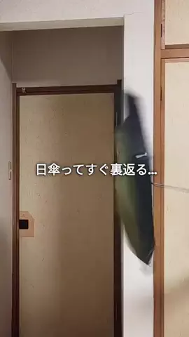 ぽん@明日の予定が見つかるソロ活プランのTikTok投稿