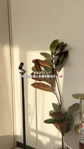 haruna / ハルナ 🎀のTikTok投稿