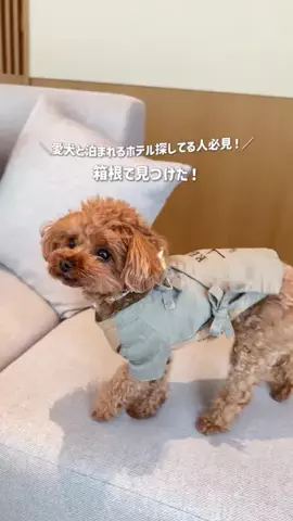コスパ旅@コスパ良くオシャレに旅行✈️のTikTok投稿