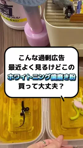 なこのTikTok投稿